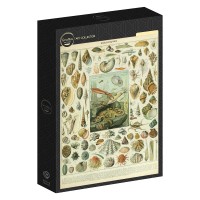 illustration-from-the-nouveau-larousse-illustre-molluscs-19th-century-jigsaw-puzzle-1000-pieces.103367-2.fs.jpg