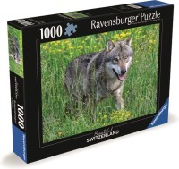 40055550160693.jpg