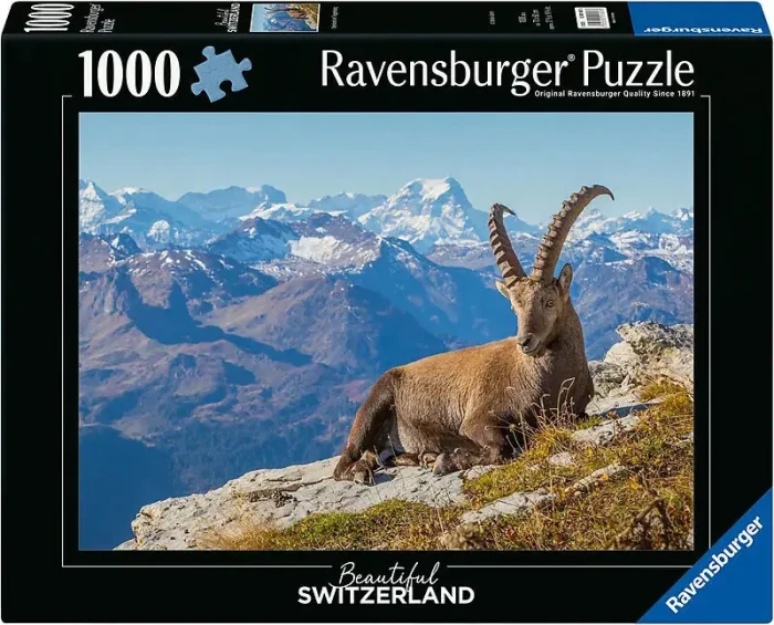 1.jpg.add.webp