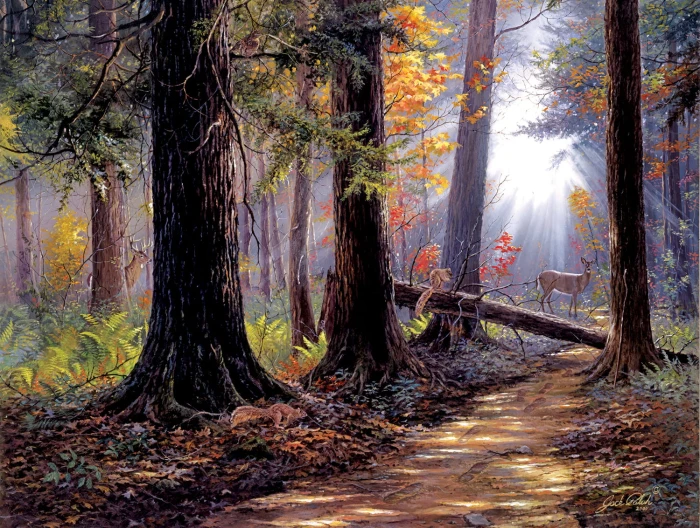 jack-paluh-peaceful-path-jigsaw-puzzle-500-pieces.82393-1.fs.jpg