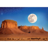 99294_150_02.webp