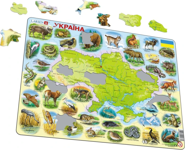 K37-ILL01_illustrative-image-1_1000.jpg