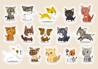 421ad-puzzle-250-kids-8-cats.webp