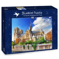 bluebird-puzzle-cathedrale-notre-dame-de-paris-jigsaw-puzzle-1000-pieces_76599-2_fs.jpg