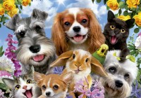 selfie-pet-parade-jigsaw-puzzle-200-pieces.104028-1.fs.jpg