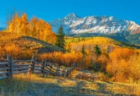 105502-2.webp.webp