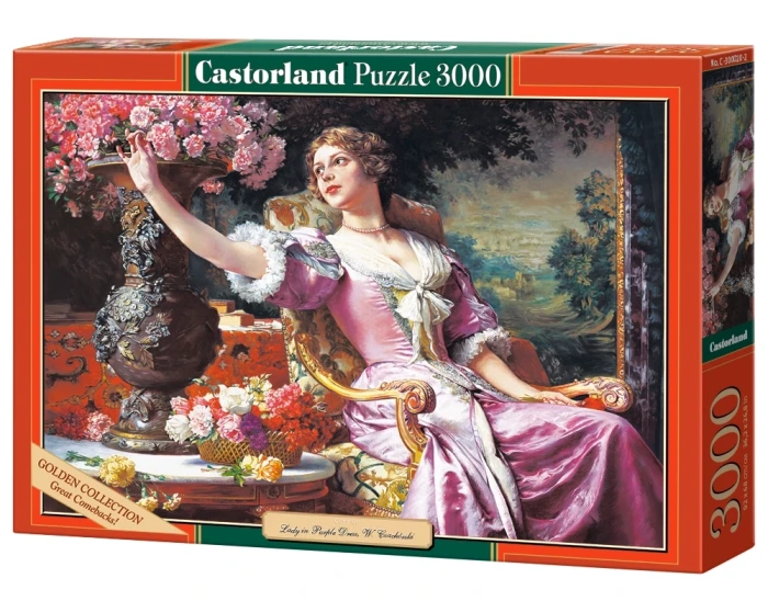 300020-2_box.webp.webp