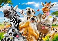 53568.webp.webp