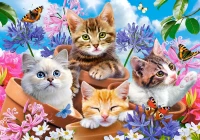 53513.webp.webp
