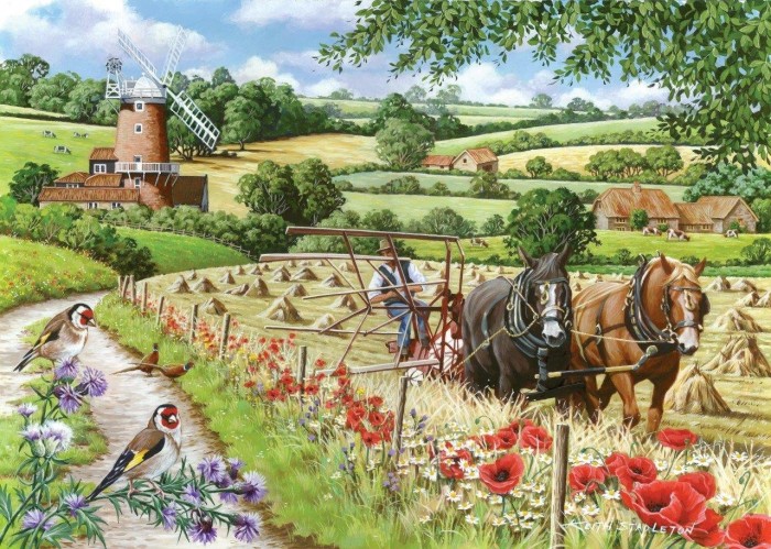 hop-house-of-puzzles-xxl-pieces-windmill-lane-jigsaw-puzzle-500-pieces.56590-1.fs.jpg