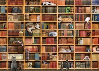 cobble-hill-outset-media-the-cat-library-jigsaw-puzzle-1000-pieces_77146-1_fs.jpg