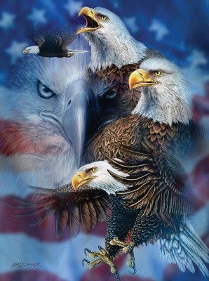 SunsOut 1000 - Steven Michael Gardner - Patriotic Eagles