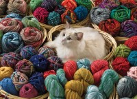 fur-ball-cobble-hill-outset-media_77044-1_fs.jpg