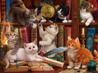 library-kittens-jigsaw-puzzle-1000-pieces.95445-1.fs.jpg