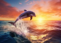 alipson-puzzle-le-saut-du-dauphin-jigsaw-puzzle-500-pieces.99162-1.fs.jpg