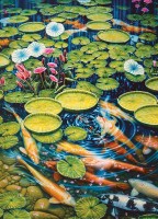 koi-pond-cobble-hill-outset-media_77051-1_fs.jpg