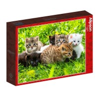 alipson-puzzle-groupe-de-chatons-jigsaw-puzzle-1000-pieces.99164-2.fs.jpg