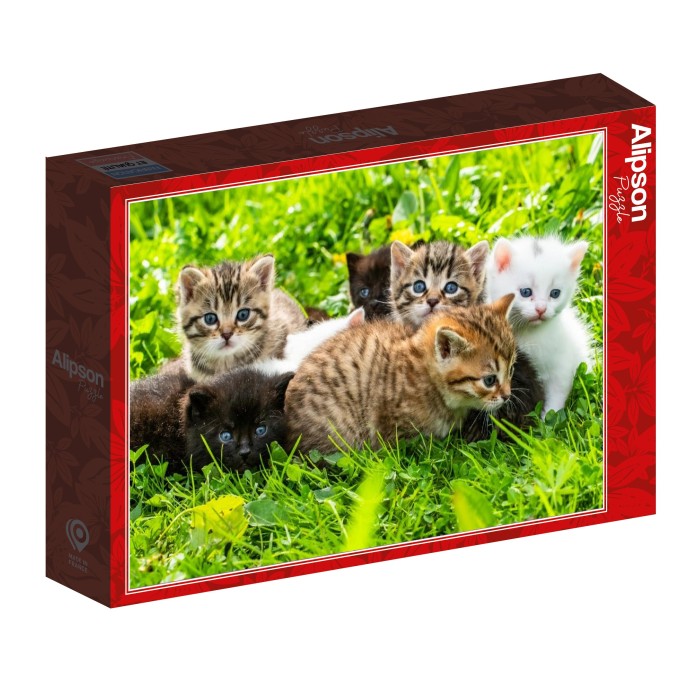alipson-puzzle-groupe-de-chatons-jigsaw-puzzle-1000-pieces.99164-2.fs.jpg