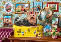 alipson-puzzle-yorkshire-terrier-puppy-jigsaw-puzzle-1000-pieces.104643-1.fs.jpg
