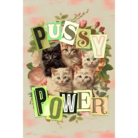 pussy-power-jigsaw-puzzle-1000-pieces.103387-1.fs.jpg