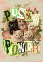pussy-power-jigsaw-puzzle-100-pieces.103374-1.fs.jpg