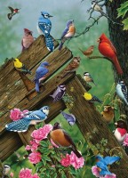 birds-of-the-forest-cobble-hill-outset-media_77050-1_fs.jpg