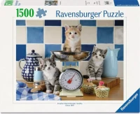12001708.webp