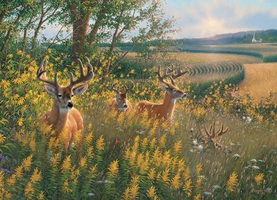 Cobble Hill 1000 - Summer Deer