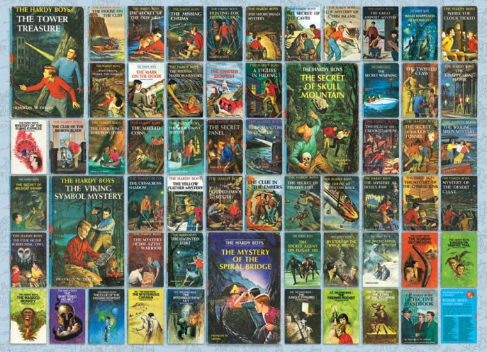 cobble-hill-outset-media-hardy-boys-jigsaw-puzzle-1000-pieces_77064-1_fs.jpg