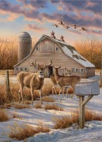 cobble-hill-outset-media-rural-route-jigsaw-puzzle-1000-pieces_77067-1_fs.jpg