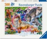 40055550184212.jpg