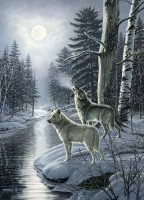 cobble-hill-outset-media-wolves-by-moonlight-jigsaw-puzzle-1000-pieces_77069-1_fs.jpg