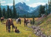 horse-meadow-cobble-hill-outset-media_77073-1_fs.jpg