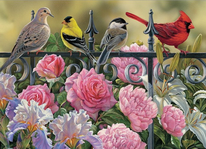 birds-on-a-fence-cobble-hill-outset-media_77074-1_fs.jpg