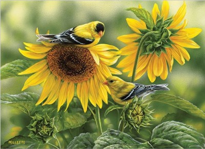 Cobble Hill 1000 - Sunflowers and Goldfinches