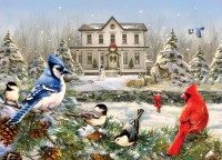 cobble-hill-outset-media-country-house-birds-jigsaw-puzzle-1000-pieces_77078-1_fs.jpg