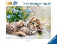 40055550190462.jpg