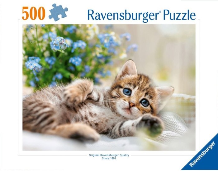 40055550190462.jpg