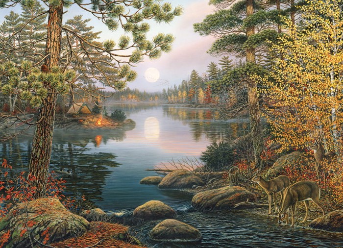 cobble-hill-outset-media-deer-lake-jigsaw-puzzle-1000-pieces_77092-1_fs.jpg