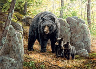Cobble Hill 1000 - Mama Bear