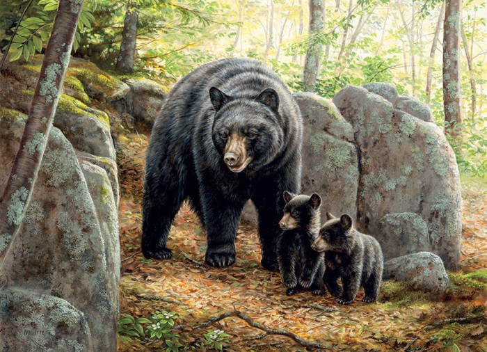 cobble-hill-outset-media-mama-bear-jigsaw-puzzle-1000-pieces_77104-1_fs.jpg