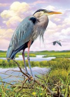 cobble-hill-outset-media-heron-jigsaw-puzzle-1000-pieces_77120-1_fs.jpg