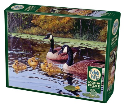 Cobble Hill 1000 - Platts Pond