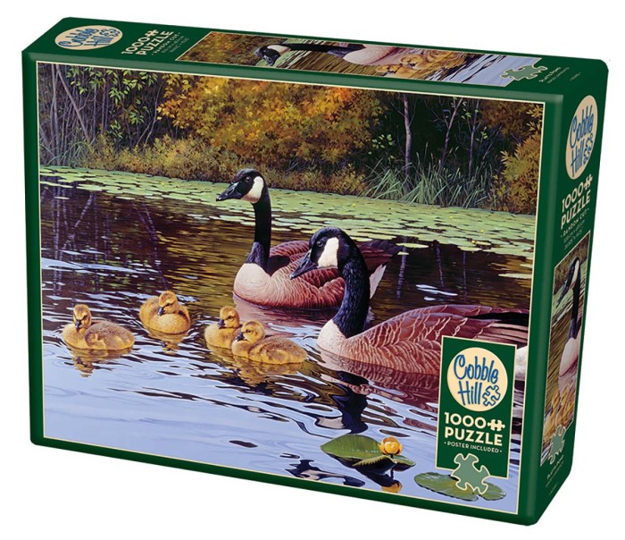 platts-pond-cobble-hill-outset-media_77123-2_fs.jpg
