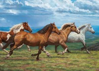 cobble-hill-outset-media-windswept-jigsaw-puzzle-1000-pieces_77124-1_fs.jpg