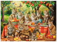 34946_puzzle-castorland-3000-dilku-cat-family-reunion.webp