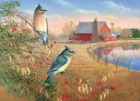 cedar-waxwings-cobble-hill-outset-media_77127-1_fs.jpg