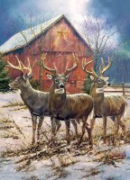 cobble-hill-outset-media-three-kings-jigsaw-puzzle-1000-pieces_77129-1_fs.jpg
