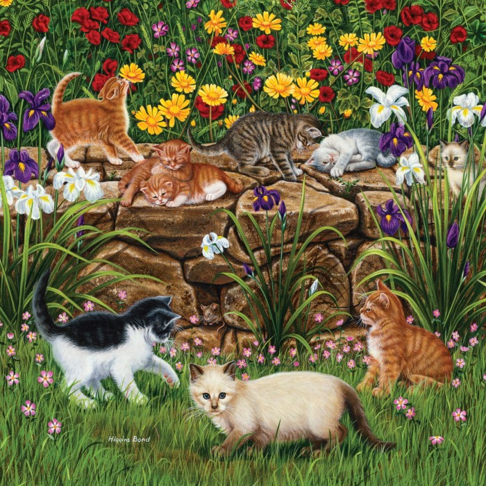 higgins-bond-wall-flowers-jigsaw-puzzle-500-pieces.82401-1.fs.jpg