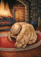 cobble-hill-outset-media-home-is-where-the-dog-is-jigsaw-puzzle-1000-pieces_77135-1_fs.jpg